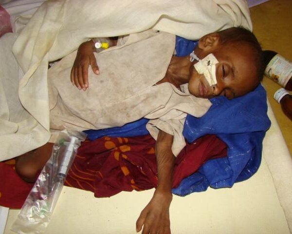 21f846f4 e8a4 47f3 914d eead9c0c6c0a 600x480