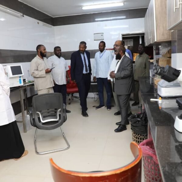 IMG 20250809 WA0030 600x600